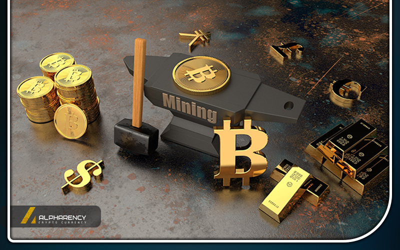 پدیده سلفیش ماینینگ چیست؟