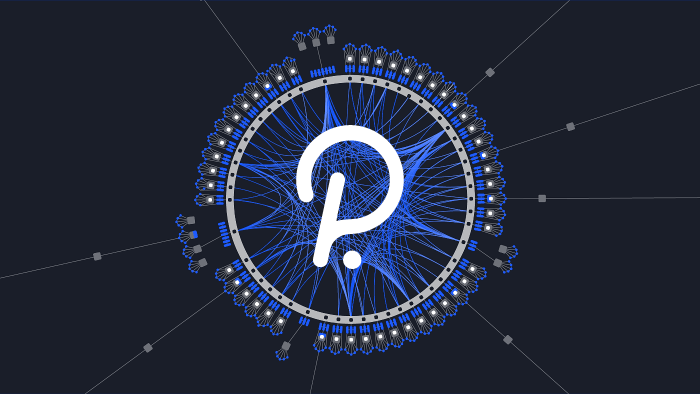 پولکادوت پاراچین چیست؟